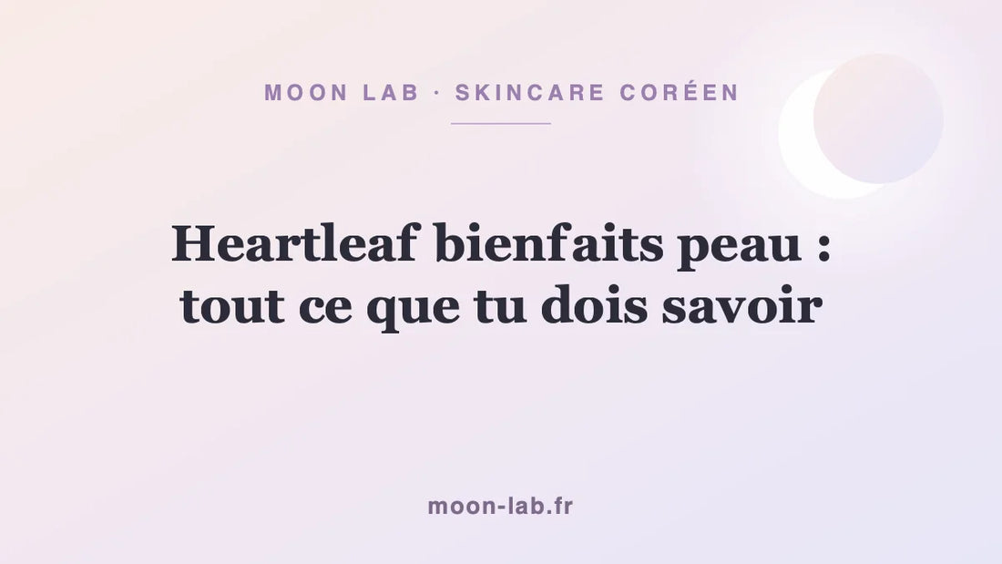 Heartleaf bienfaits pour la peau : tout ce que tu dois savoir
